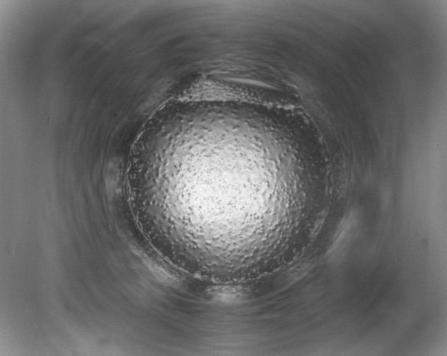 X0000078840273200611131156