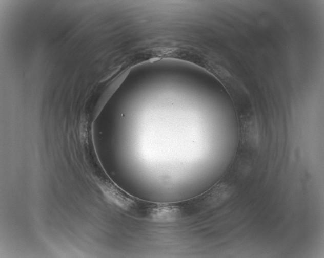 X0000078840274200611131156