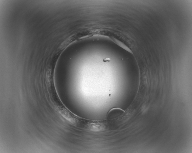 X0000078840275200611131156