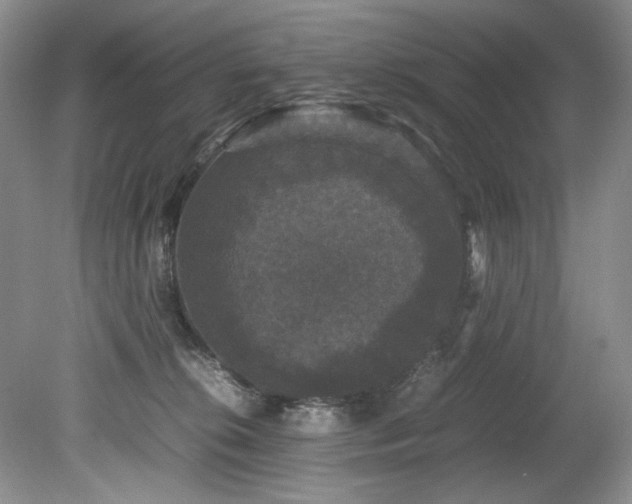 X0000078840276200611131156