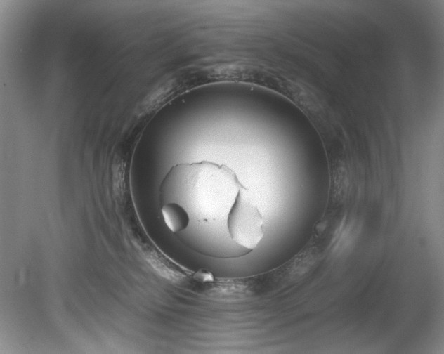 X0000078840278200611131156