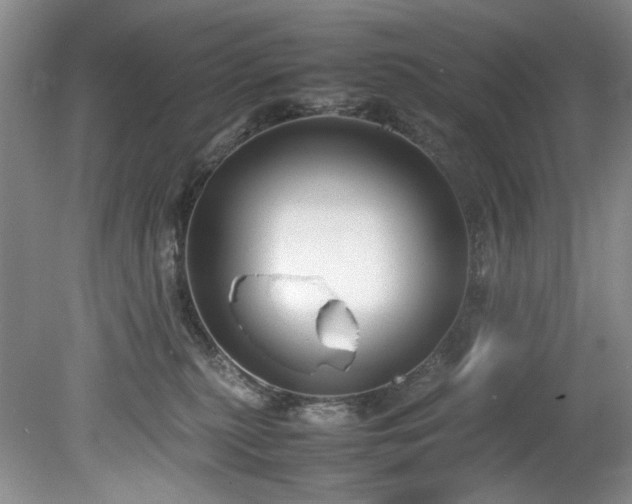 X0000078840279200611131156