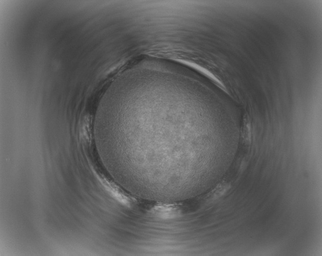 X0000078840280200611131156