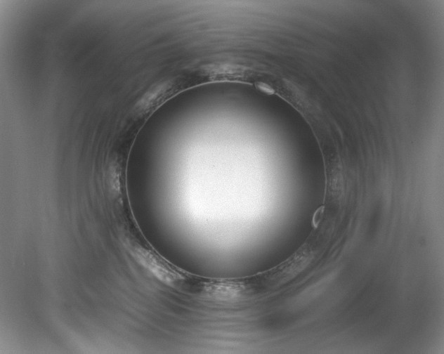 X0000078840282200611131156