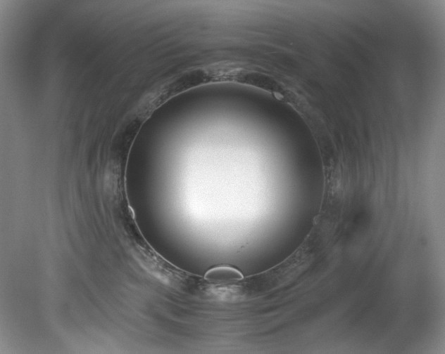 X0000078840283200611131156