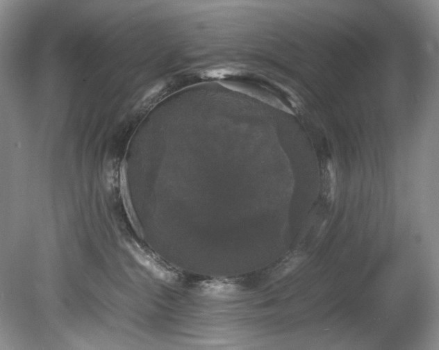 X0000078840284200611131156