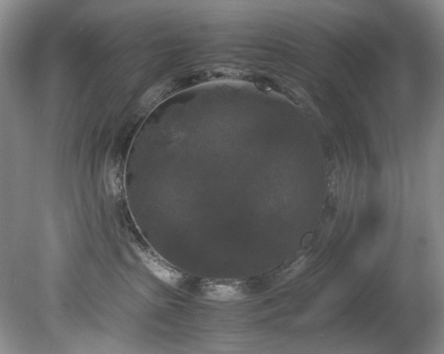 X0000078840285200611131156