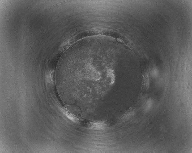 X0000078840286200611131156