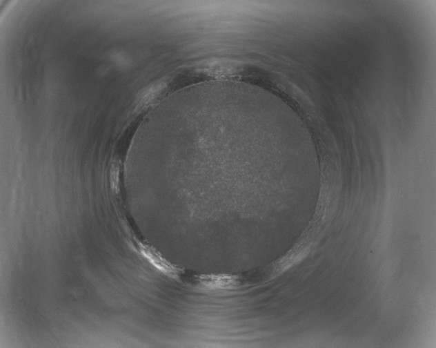 X0000078840288200611131157