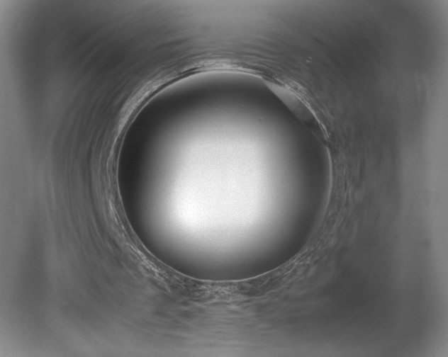 X0000078840289200611131156