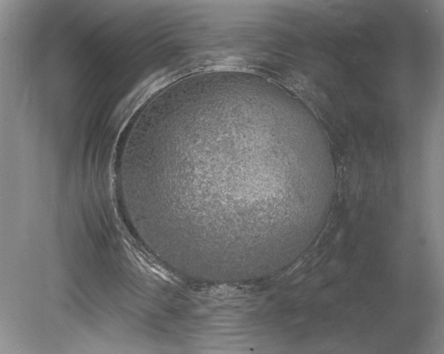 X0000078840290200611131156