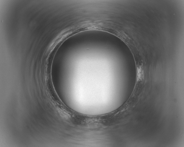 X0000078840291200611131156