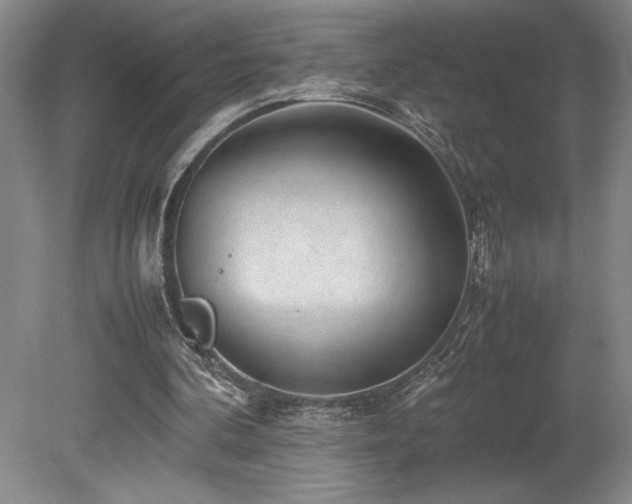 X0000078840292200611131156