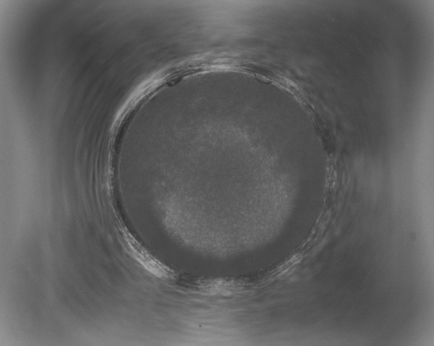 X0000078840293200611131156