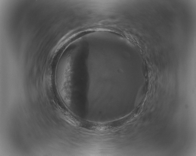 X0000078840295200611131156