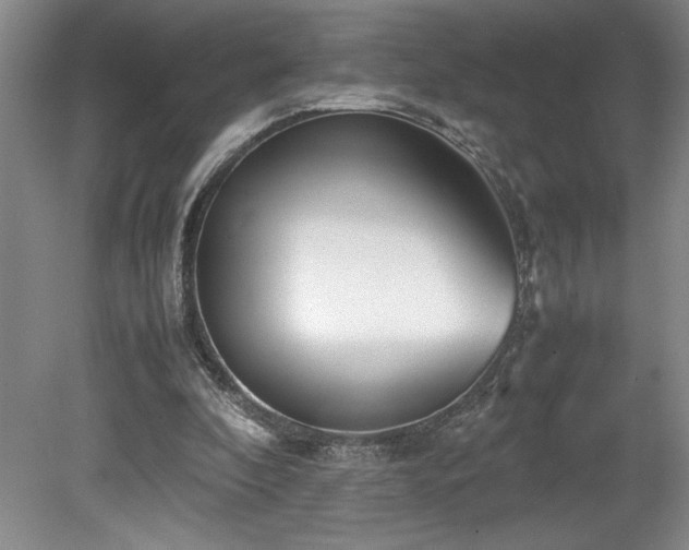 X0000078840296200611131156