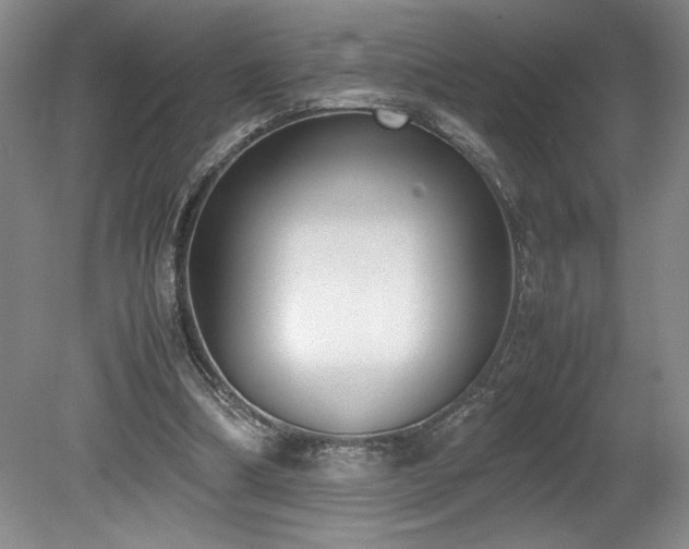 X0000078840298200611131156