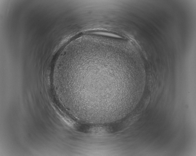 X0000078840299200611131156