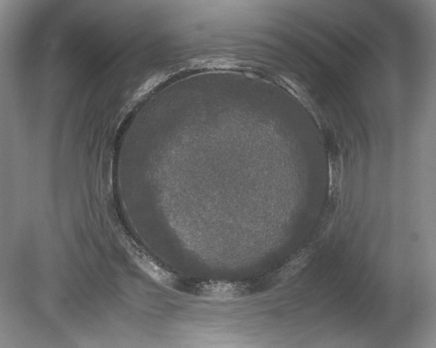 X0000078840301200611131156