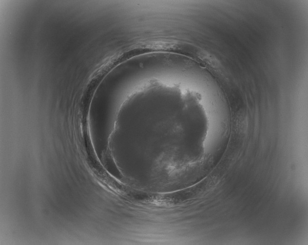 X0000078840303200611131155