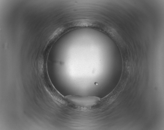 X0000078840304200611131155