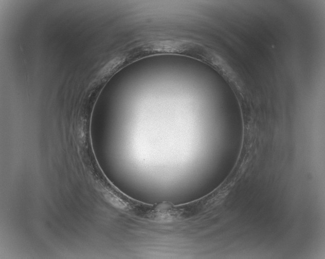 X0000078840305200611131155