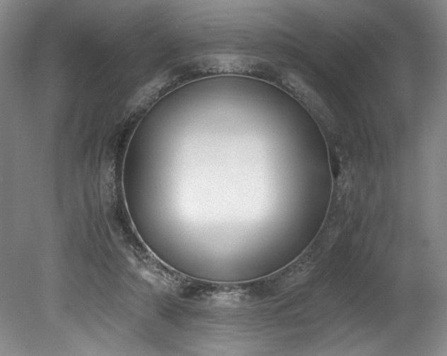 X0000078840306200611131155