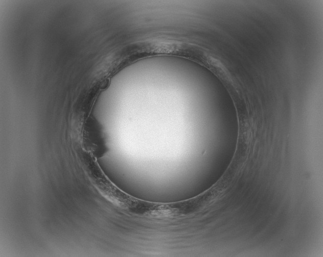 X0000078840307200611131155