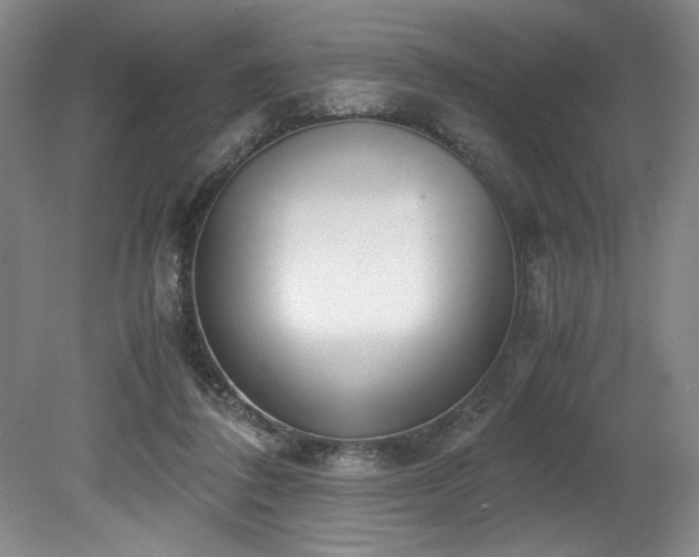 X0000078840308200611131155