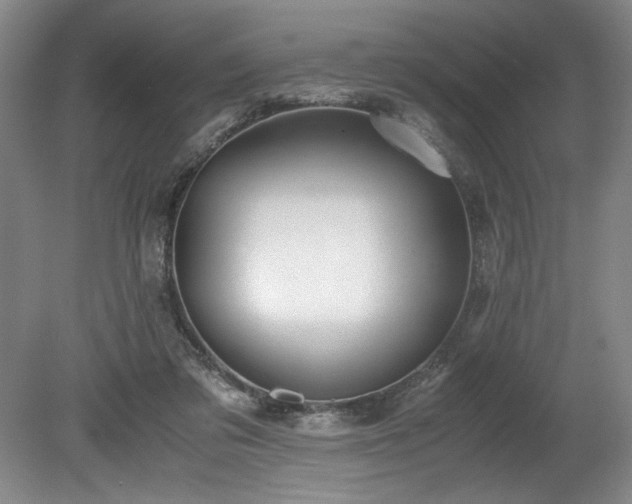 X0000078840309200611131155