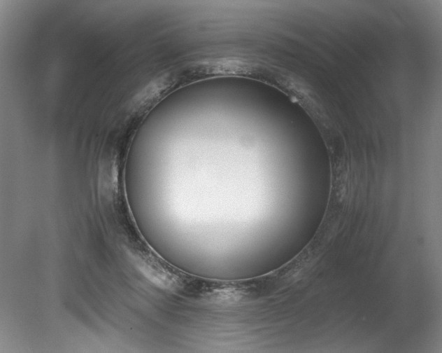 X0000078840310200611131155