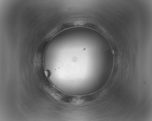 X0000078840311200611131155