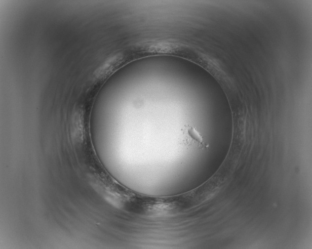 X0000078840312200611131155