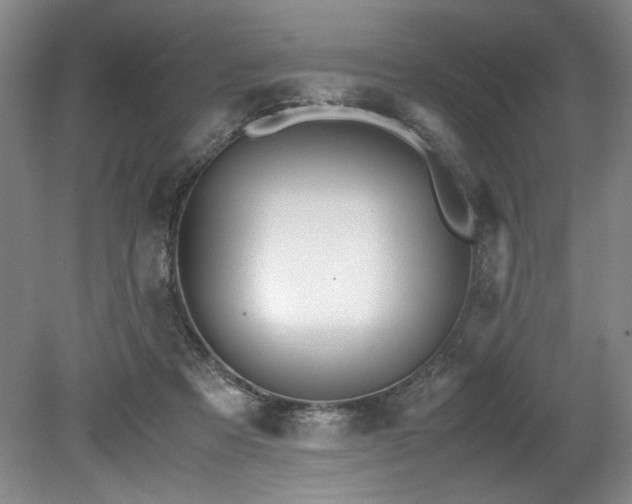 X0000078840313200611131155