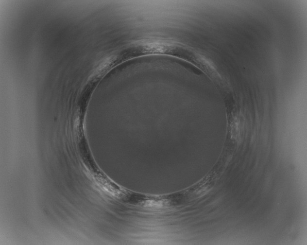 X0000078840314200611131155