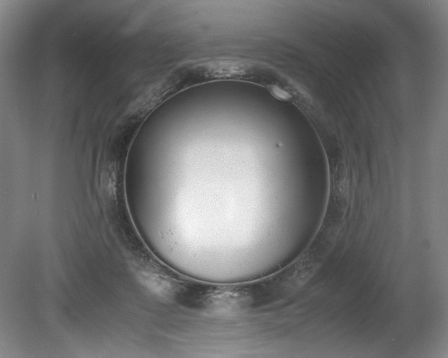 X0000078840315200611131155