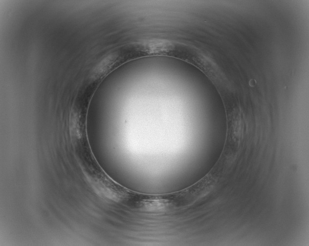 X0000078840316200611131155