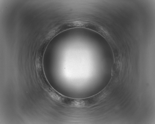 X0000078840317200611131155