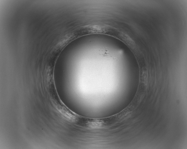 X0000078840318200611131155