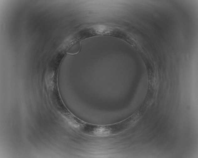 X0000078840319200611131155