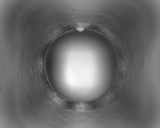 X0000078840321200611131155