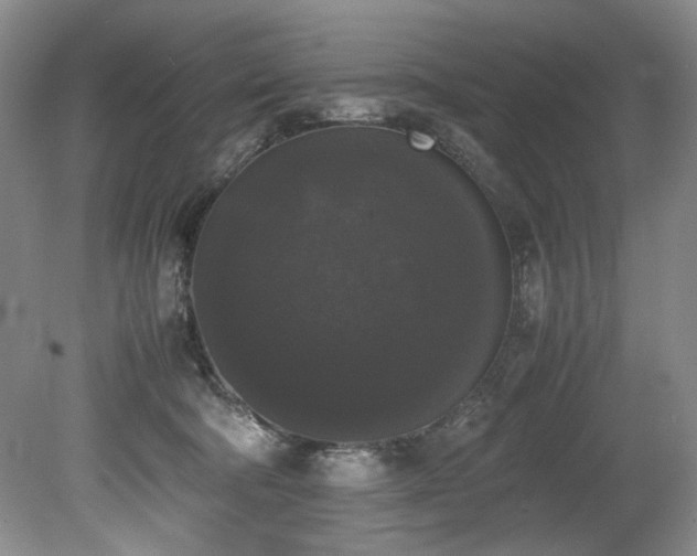 X0000078840322200611131155