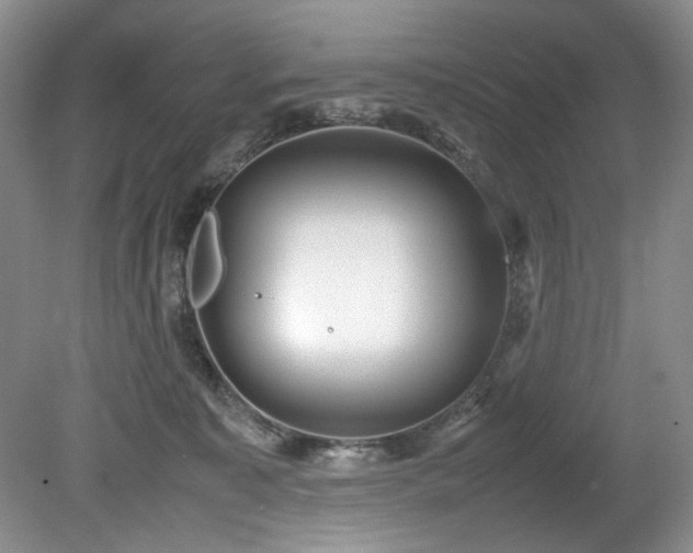 X0000078840323200611131155