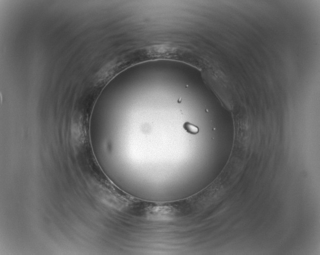 X0000078840324200611131155