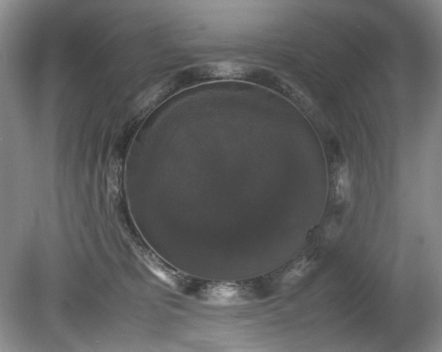 X0000078840325200611131155