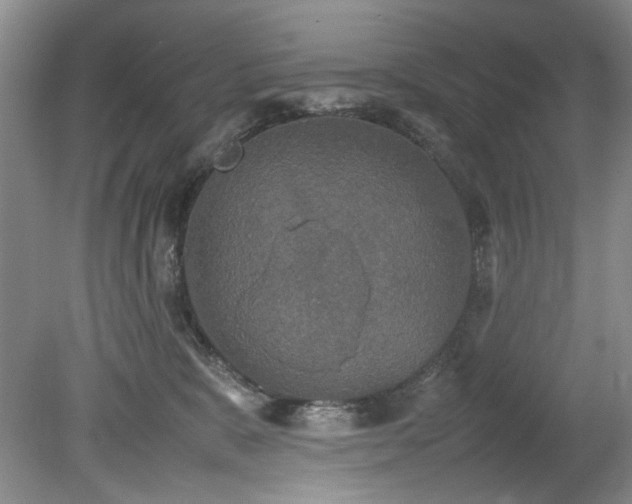 X0000078840327200611131155