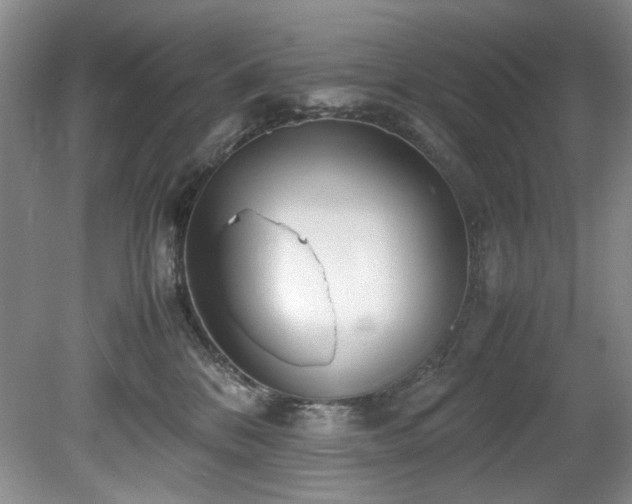 X0000078840328200611131155