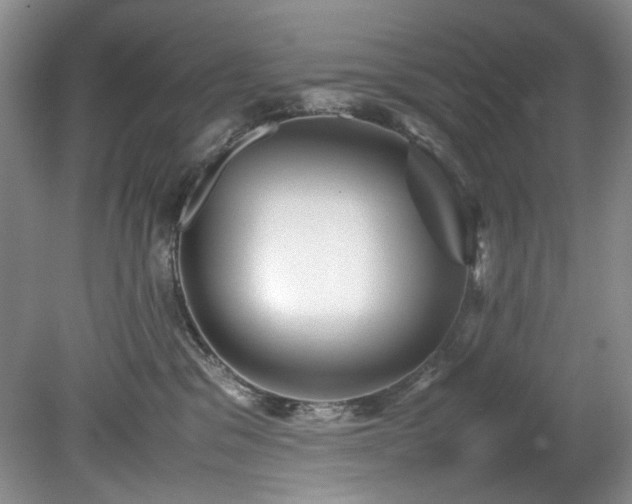 X0000078840329200611131155