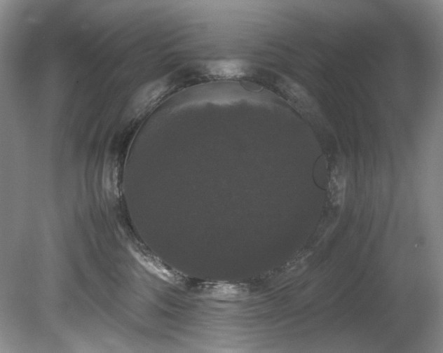 X0000078840330200611131155