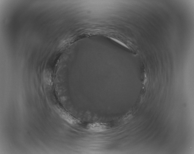 X0000078840331200611131155